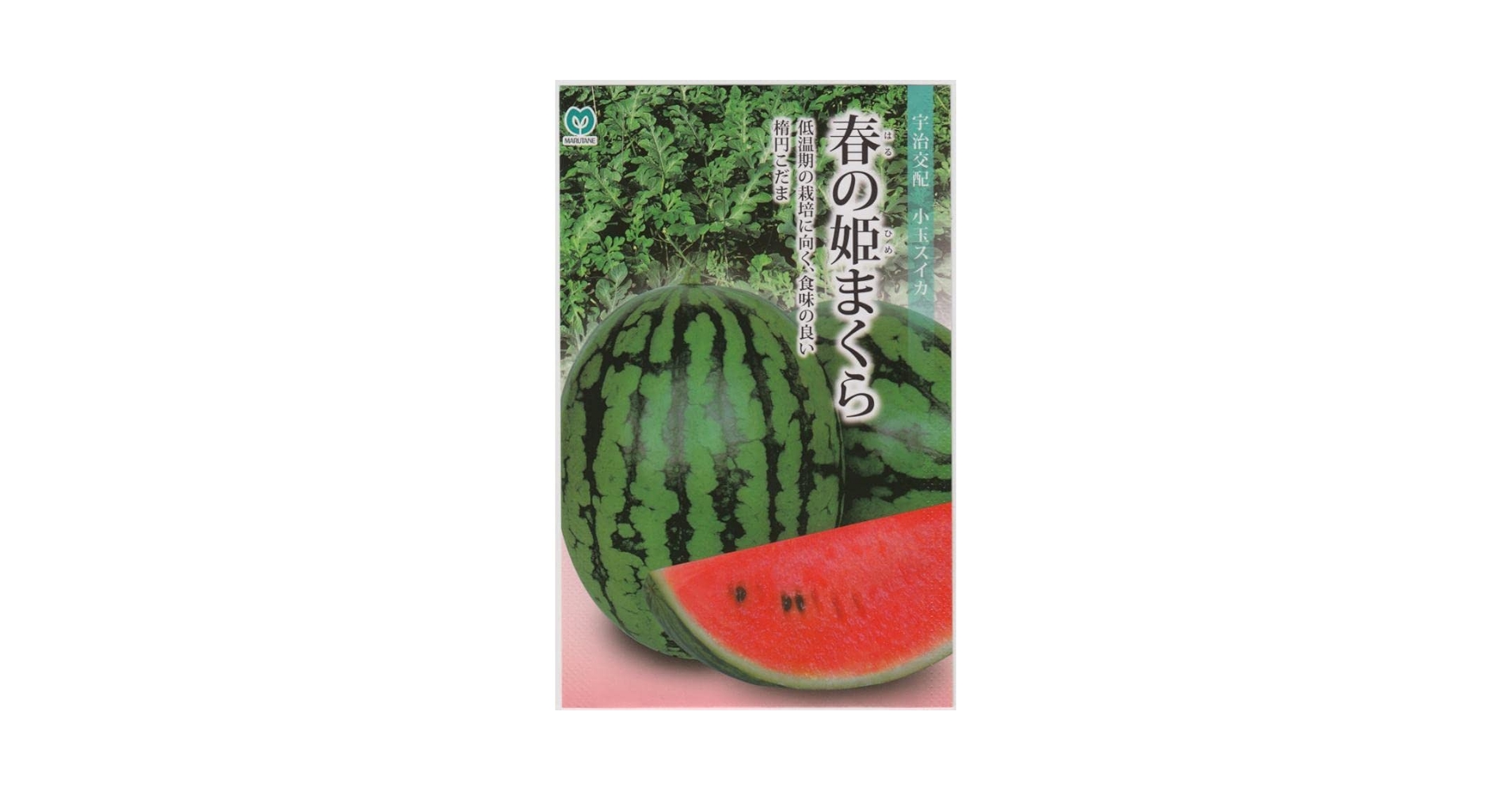 Amazon.co.jp: 丸種 スイカ 春の姫まくらのタネ : DIY・工具